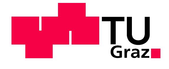 Logo TU Graz